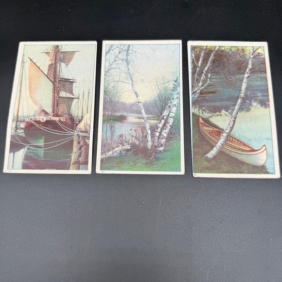 Antique Advertising Art Postcards Set of 3 Blank Birch Canoe Sailboat Scenes - Picture 1 of 6